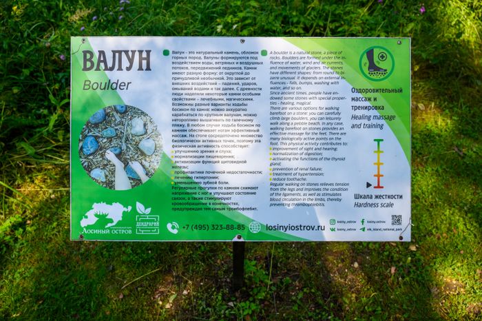 Эколого-просветительский комплекс "Дендрарий" в Мытищах