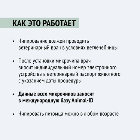 Чипирование-18.jpg