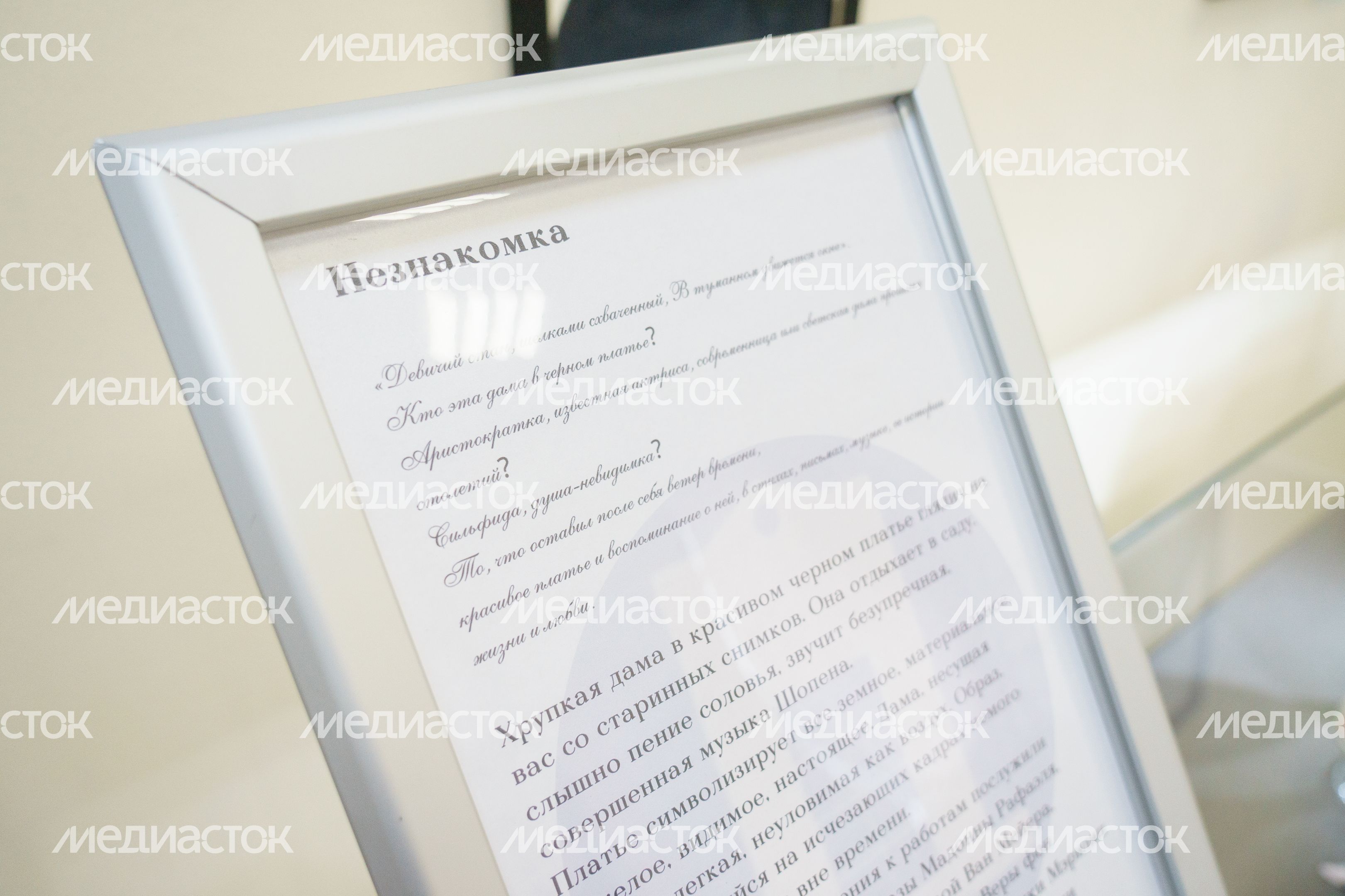 Выставка "Незнакомка" в Музейно-выставочном комплексе города Люберцы Выставка "Незнакомка" в Музейно-выставочном комплексе города Люберцы