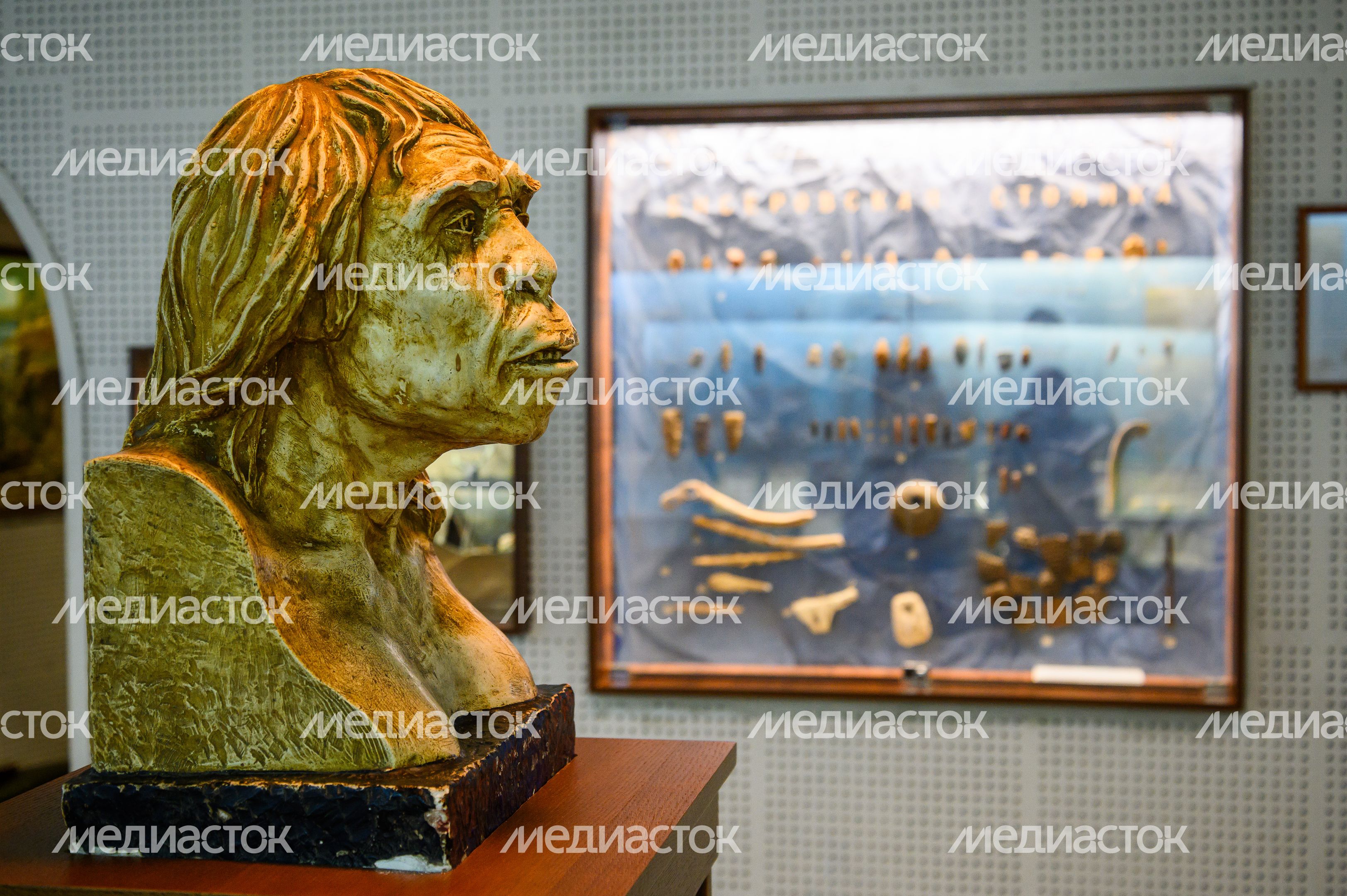 Ногинский музейно-выставочный центр Ногинский музейно-выставочный центр