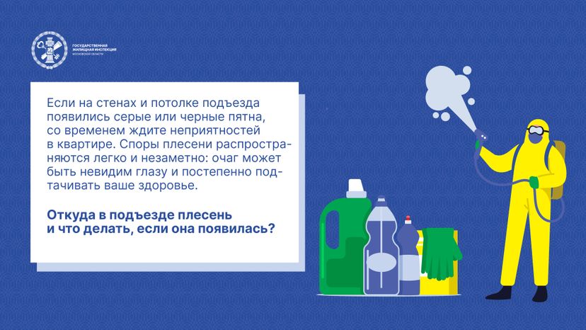Горизонтали Плесень 02.jpg