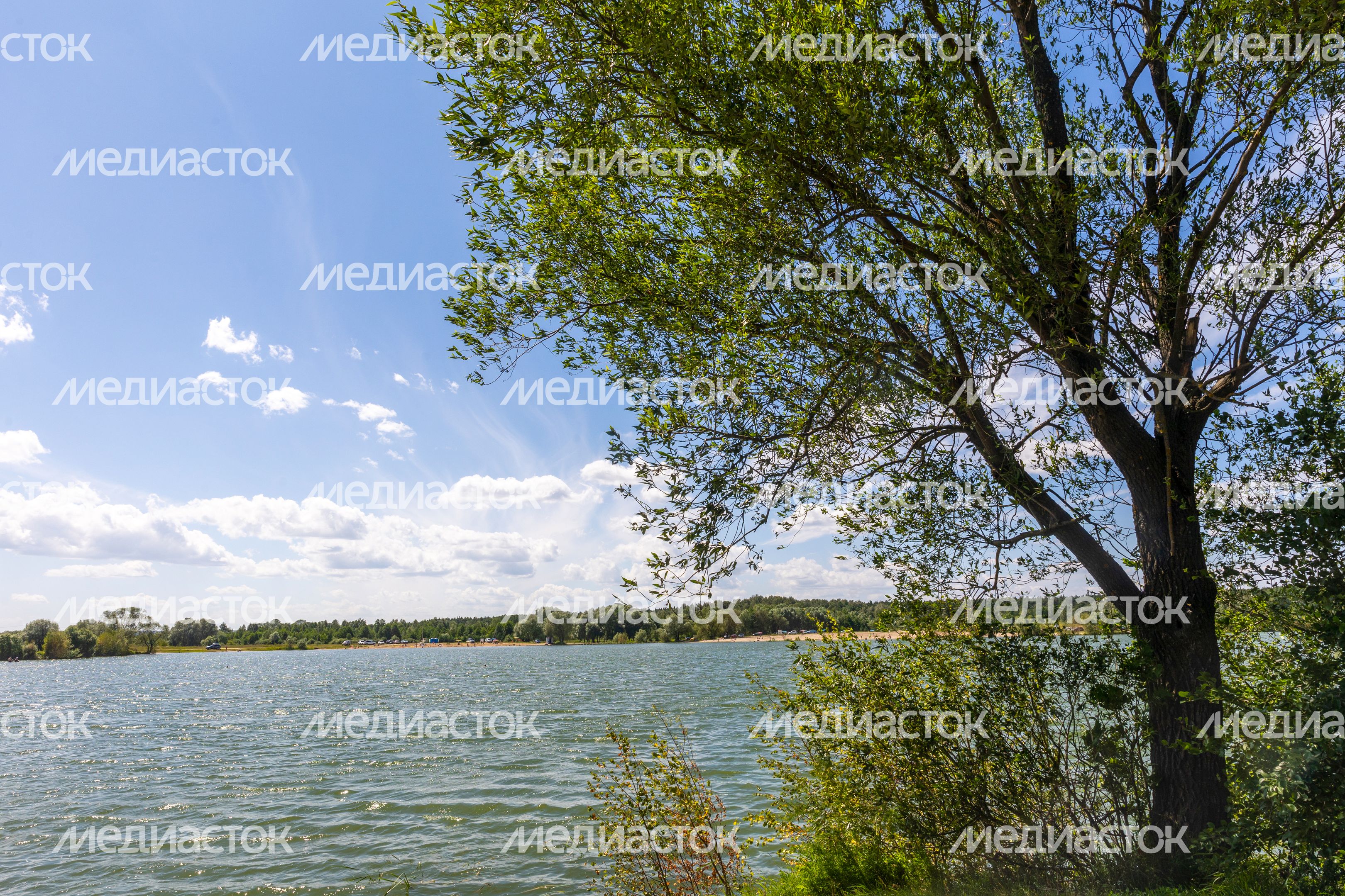 Ступино. Белопесоцкий пруд