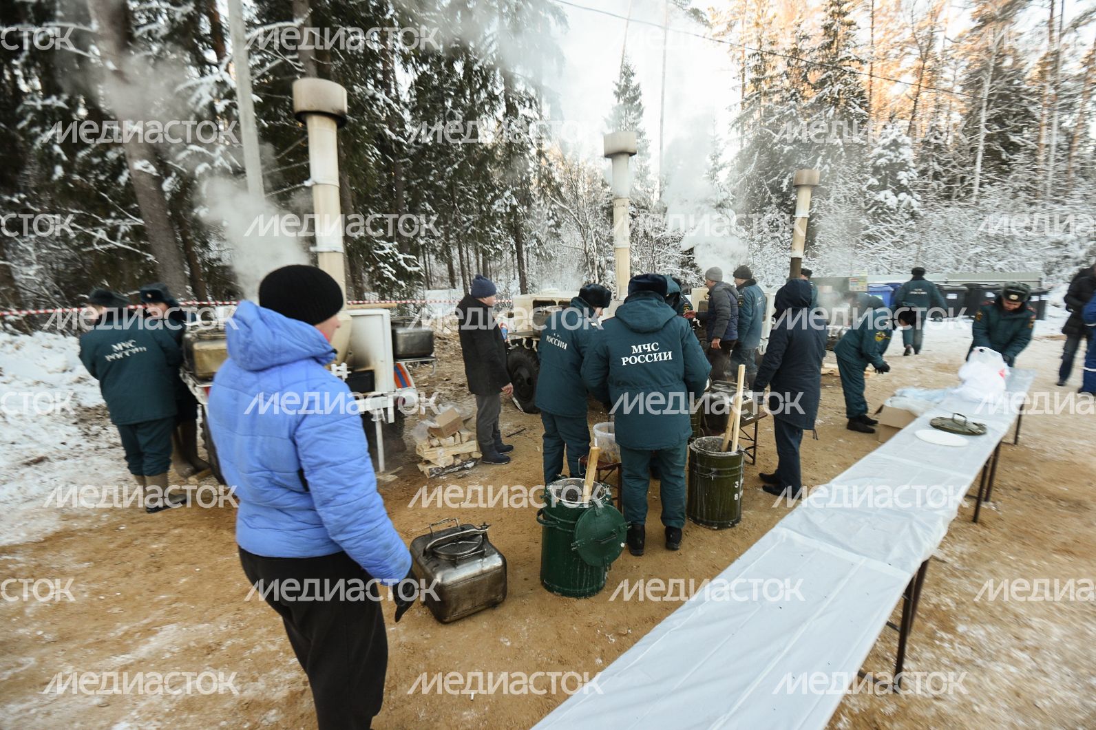 Сруб главной новогодней ели страны в Щелковском районе Подмосковья