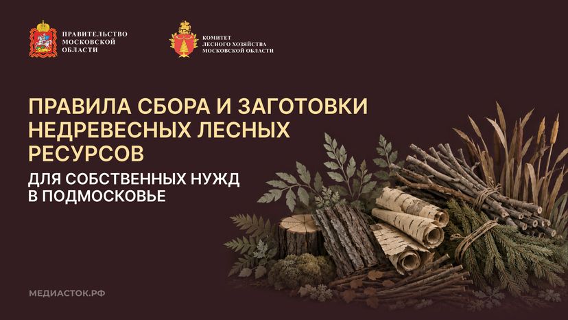 Недревесные ресурсы для собственных нужд Горизонталь 01