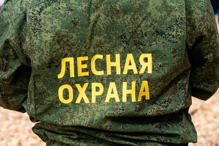 Деревья высадили в Рузском округе в рамках акции «Сад Памяти» ко Дню Победы