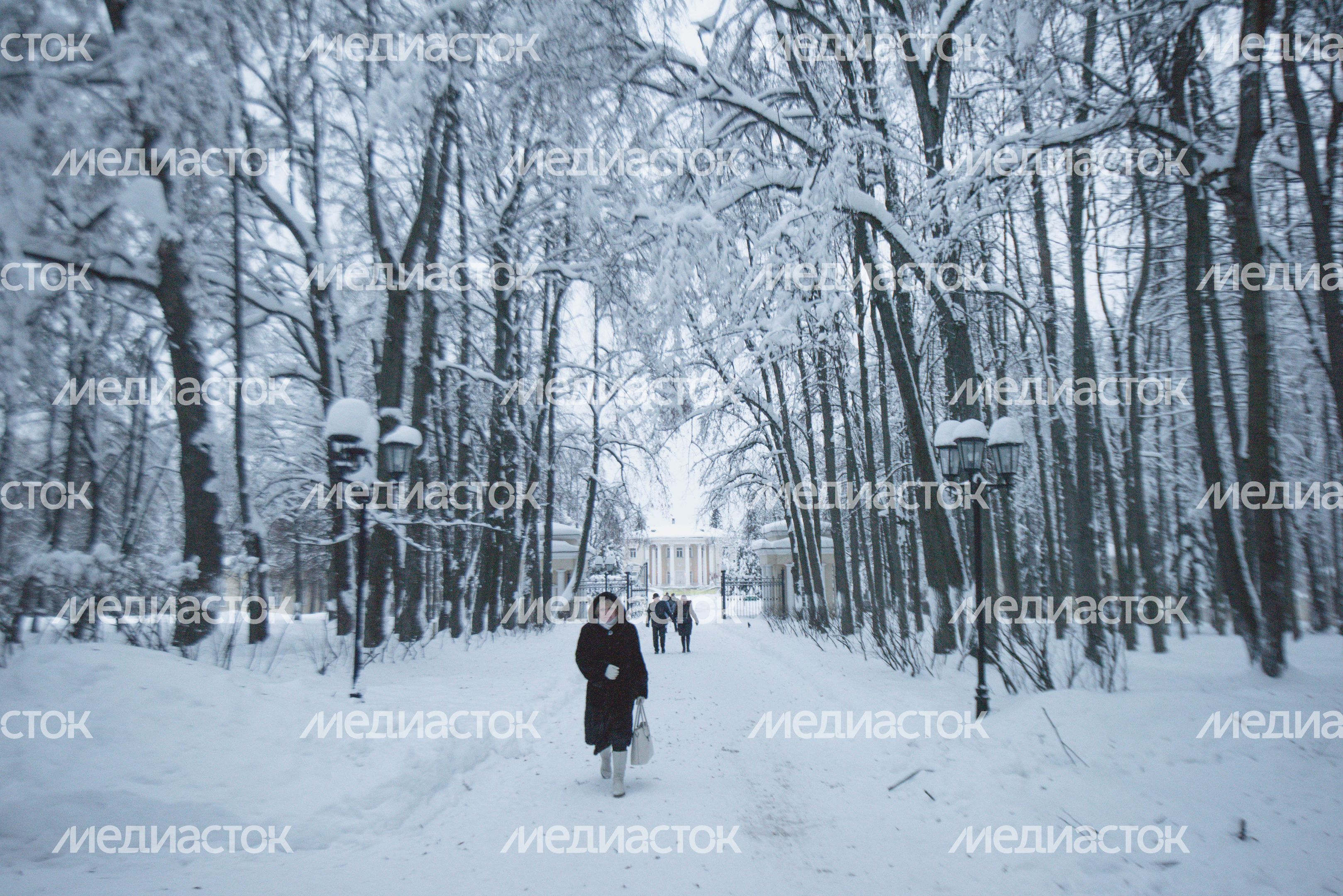 Усадьба Введенское в Звенигороде