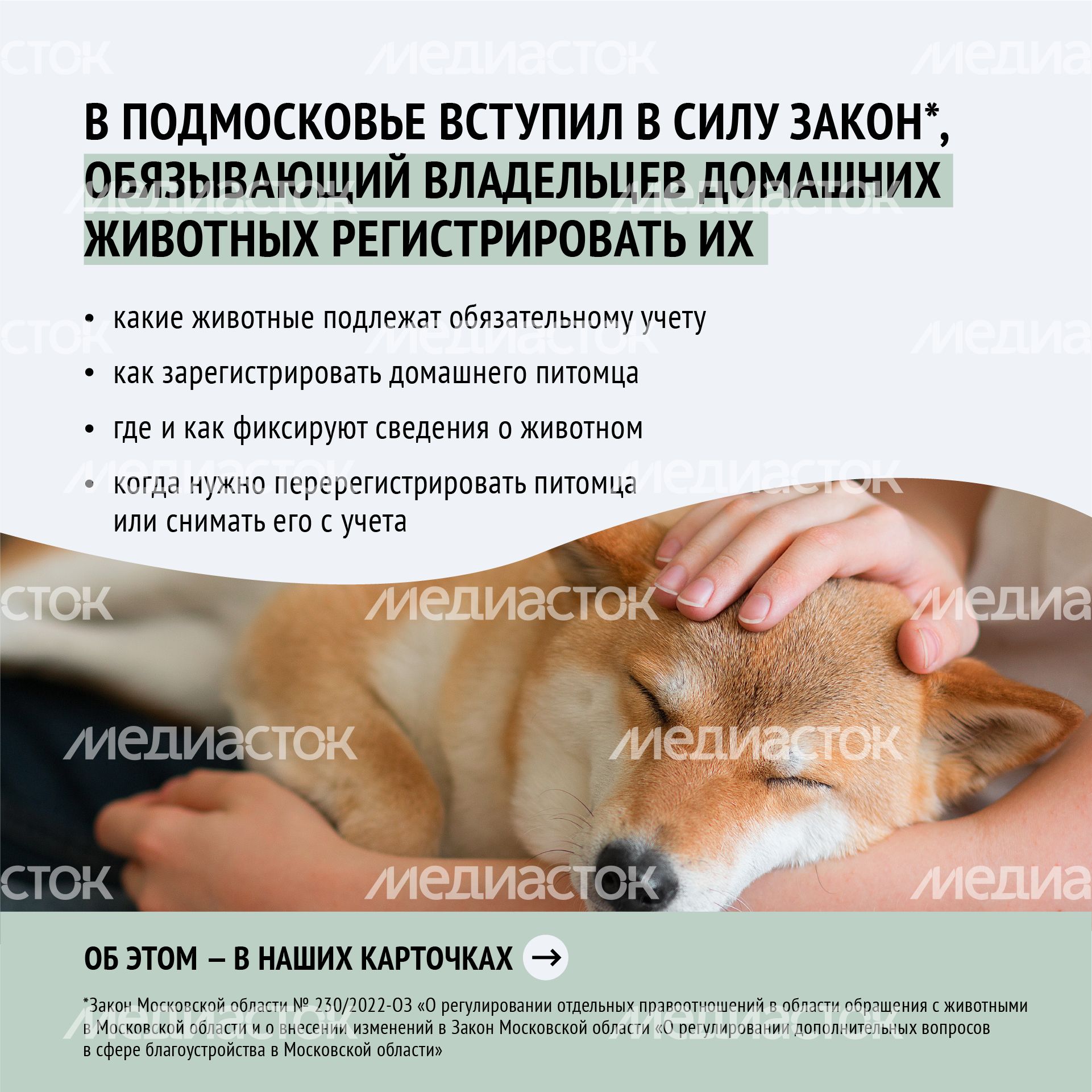 Зарегистрировать домашнее животное ред 2-квадрат-02.png