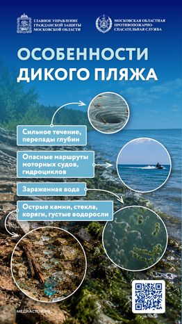 Особенности диких пляжей 2026 Вертикаль 01