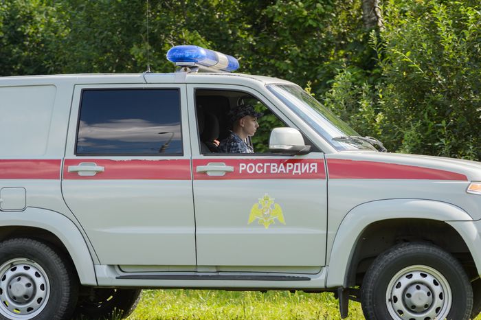 Мытищи. Шолохово. Военно-патриотический фестиваль Фронтовая собака