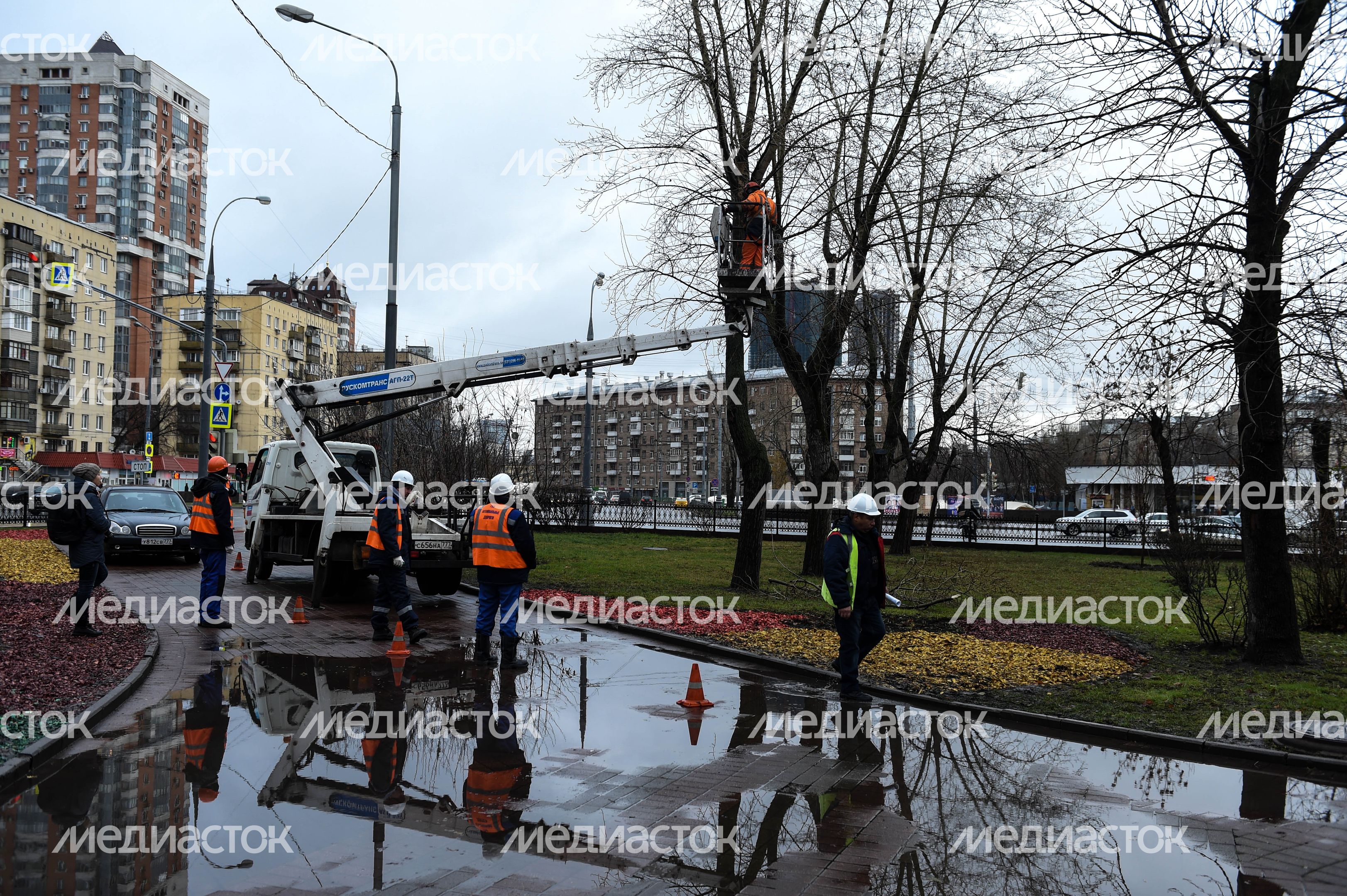 Обрезка тополей в Москве