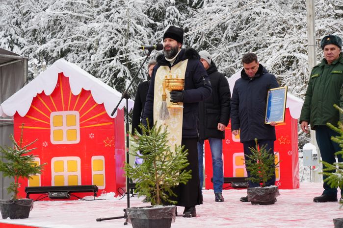 В Можайском городском округе спилили главную новогоднюю ель страны