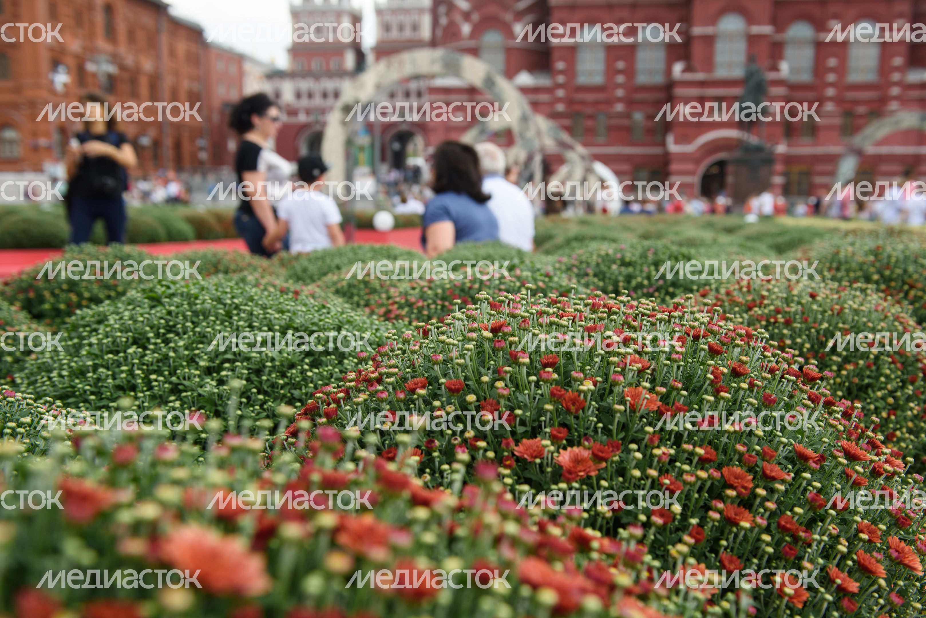 Открытие фестиваля «Цветочный джем» в Москве