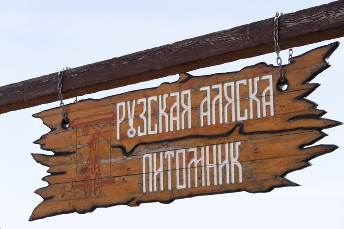 Руза. Хаски-деревня "Рузская Аляска"