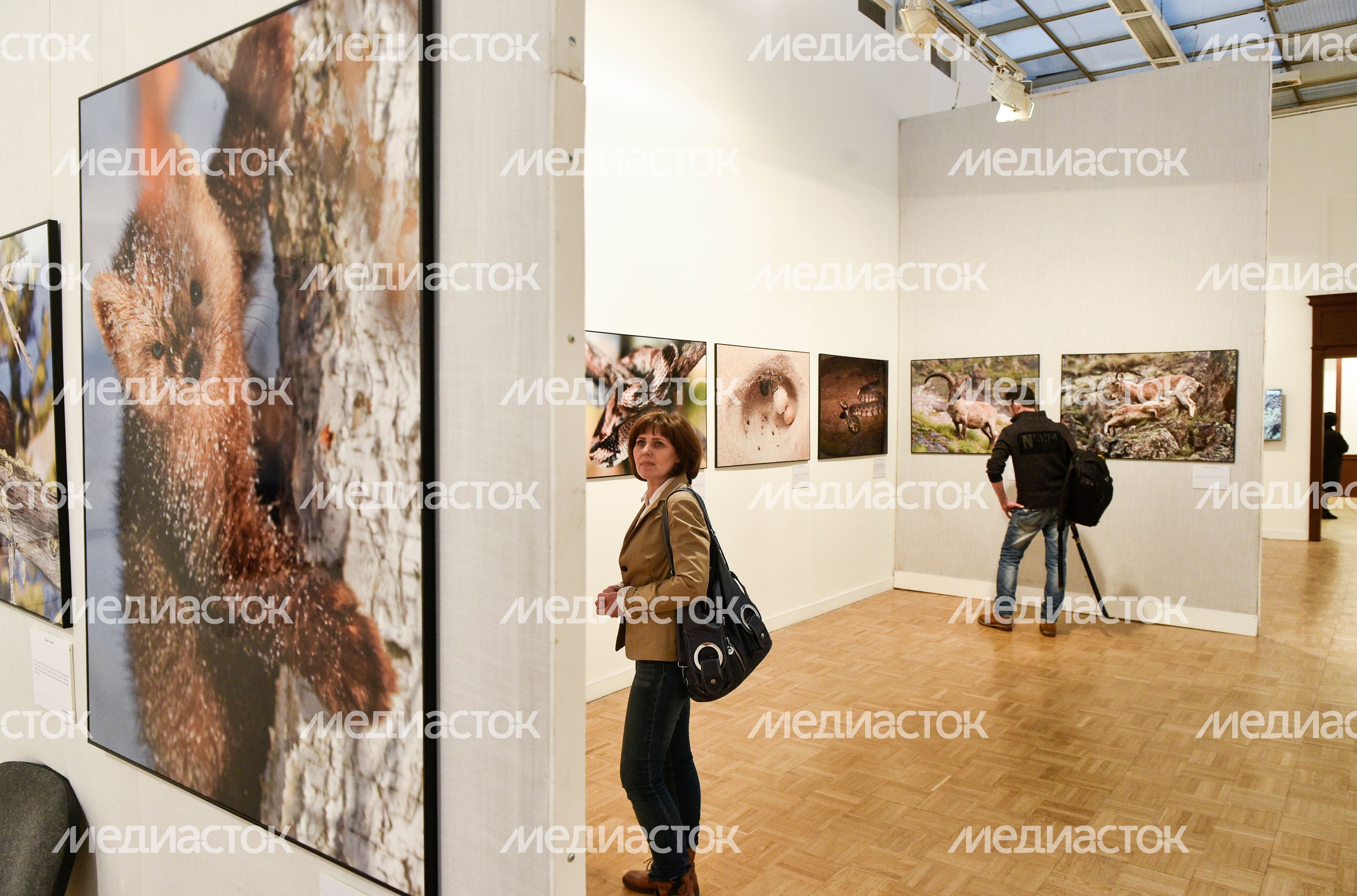 Открытие выставки «Первозданная Россия» в Москве