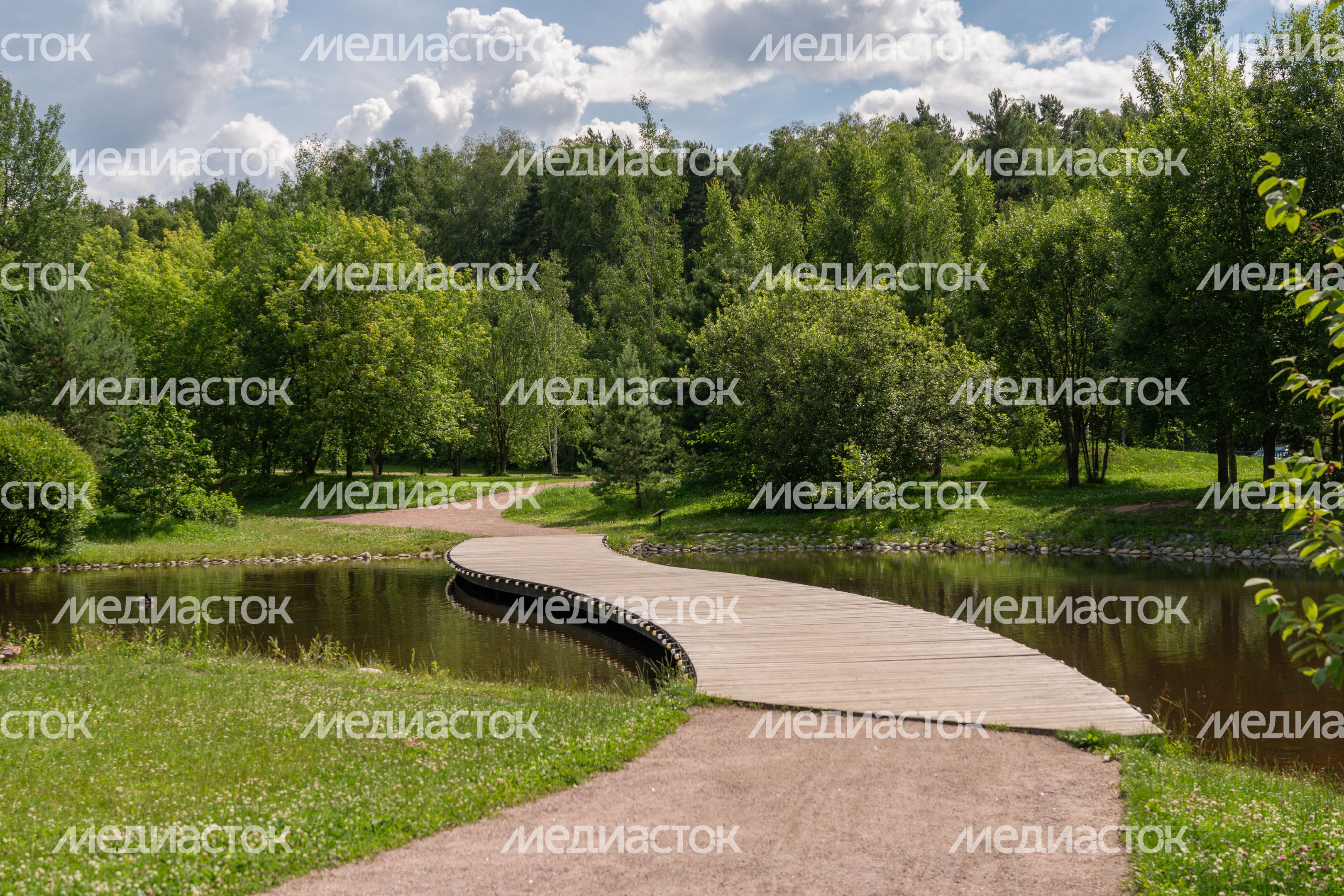 Мещерский парк летом