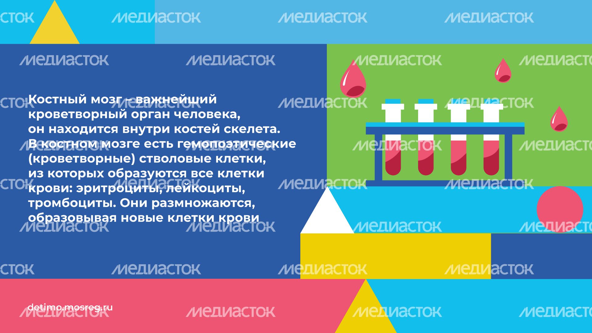 как_стать_донором_костного_мозга__горизонталь_03.jpg