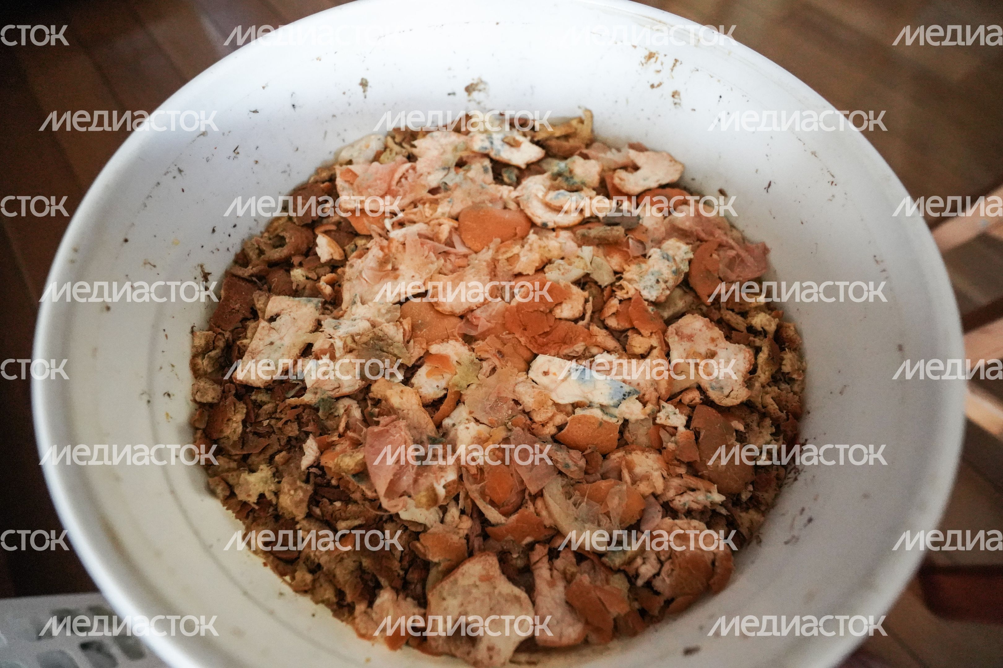 Коммуна на севере Москвы