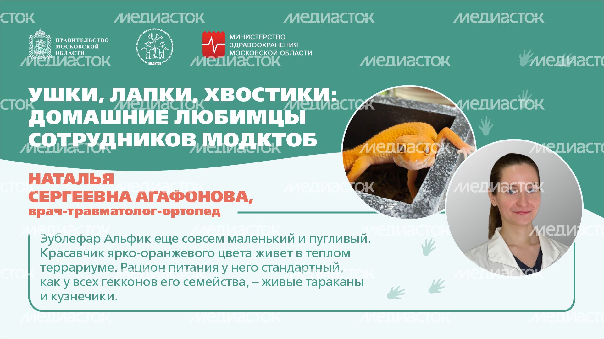 Ушки, лапки, хвостики горизонталь 05 Ушки, лапки, хвостики горизонталь 05