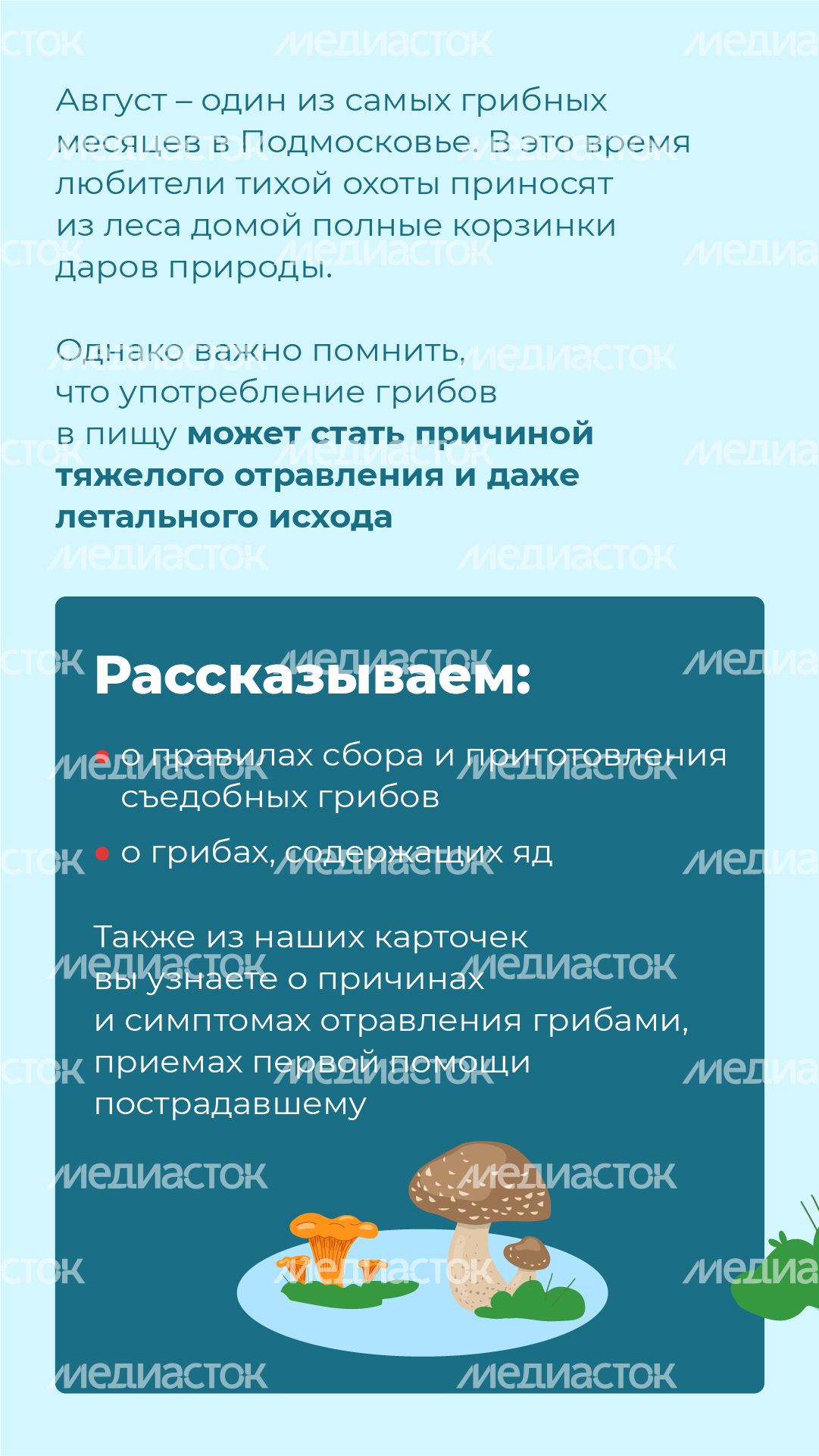24 Вертикаль_грибы_02-100