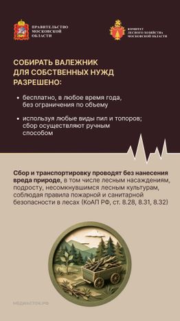 Валежник для собственных нужд вертикаль 06
