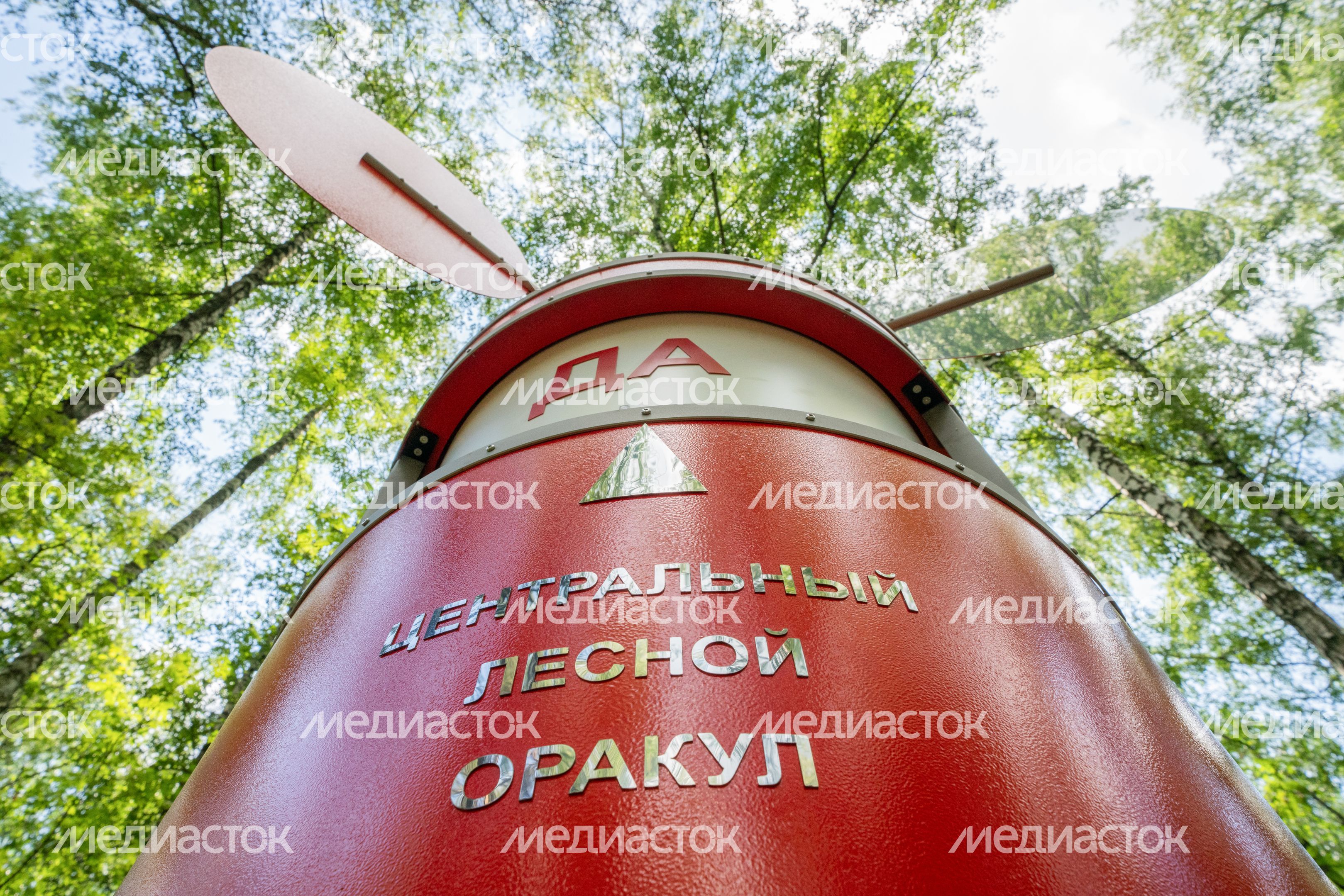 Центральный лесной оракул в парке Малевича Центральный лесной оракул в парке Малевича