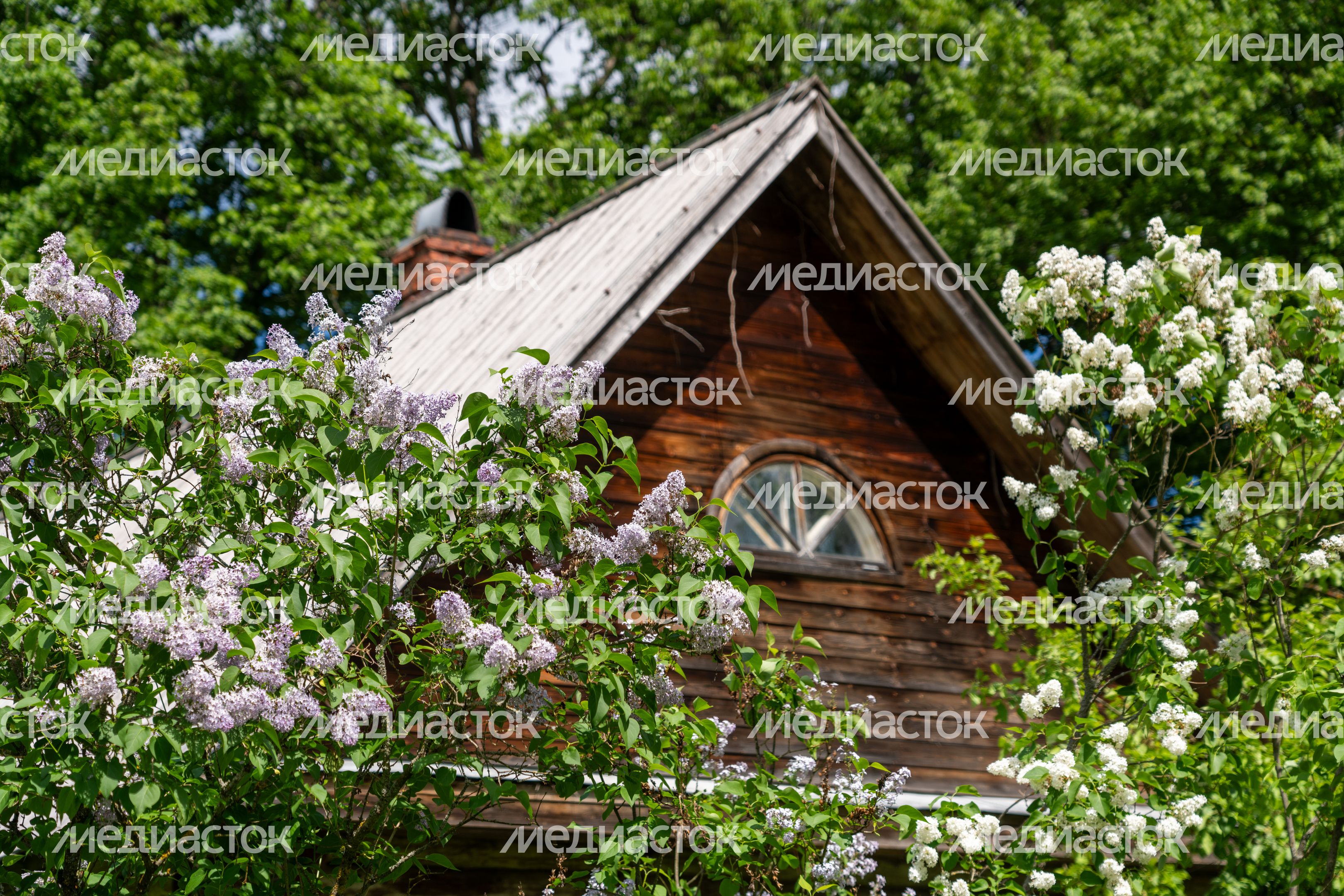 Музей-заповедник Д.И. Менделеева и А.А. Блока. Усадьба Шахматово Музей-заповедник Д.И. Менделеева и А.А. Блока. Усадьба Шахматово