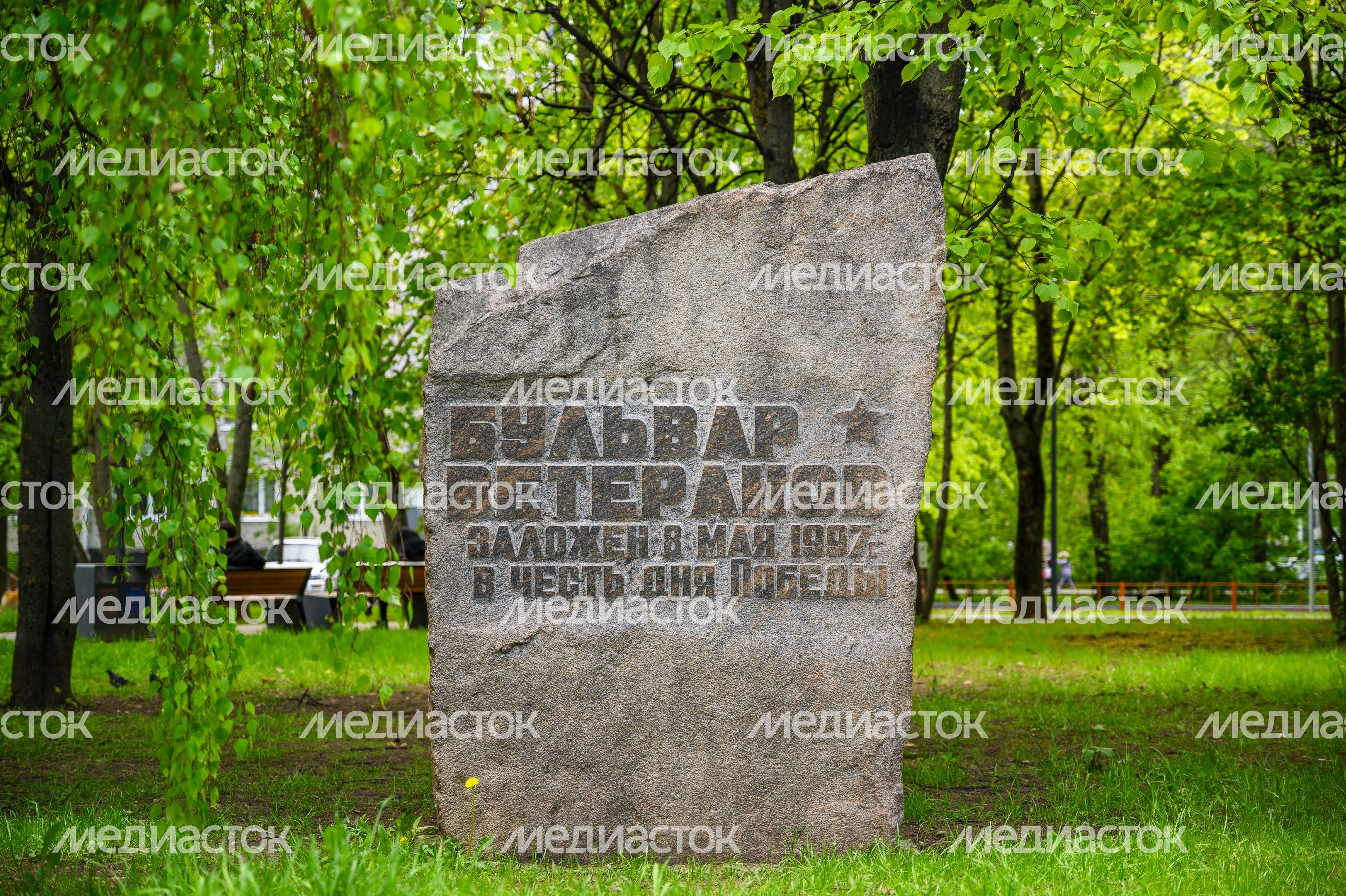 Парк Ветеранов в Мытищах Парк Ветеранов в Мытищах