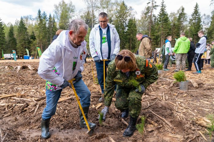 Деревья высадили в Рузском округе в рамках акции «Сад Памяти» ко Дню Победы
