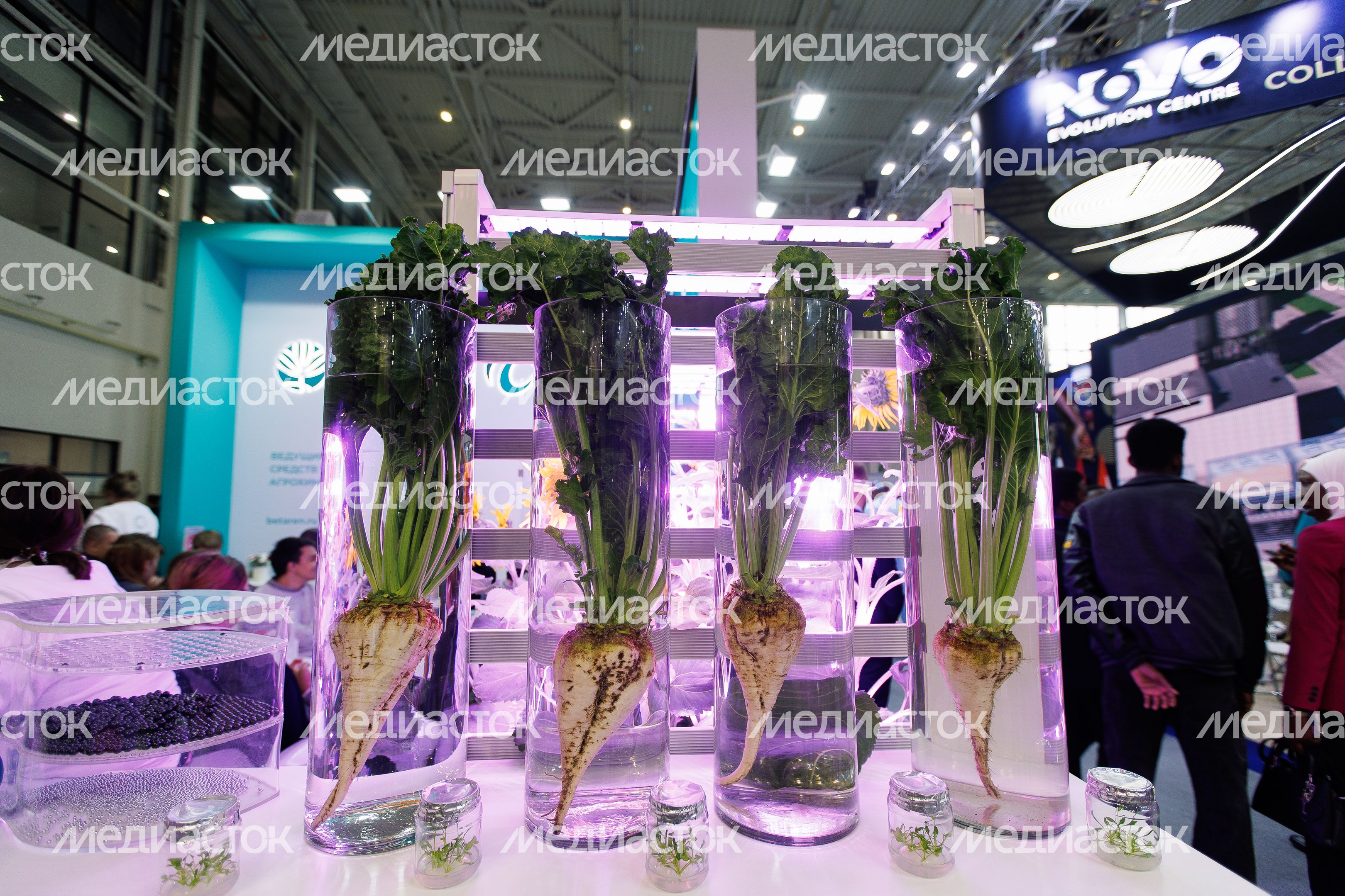 Стенды агропромышленных предприятий АПК на выставке «Золотая осень-2025» в Москве Стенды агропромышленных предприятий АПК на выставке «Золотая осень-2025» в Москве