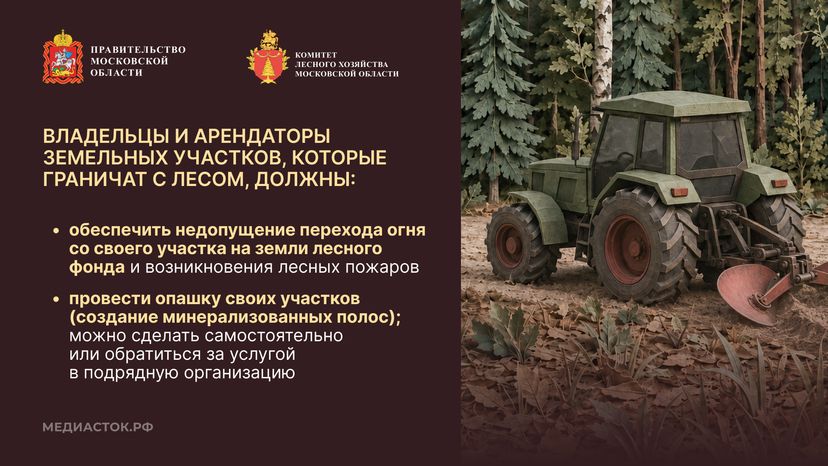 Живете рядом с лесом горизонталь 03