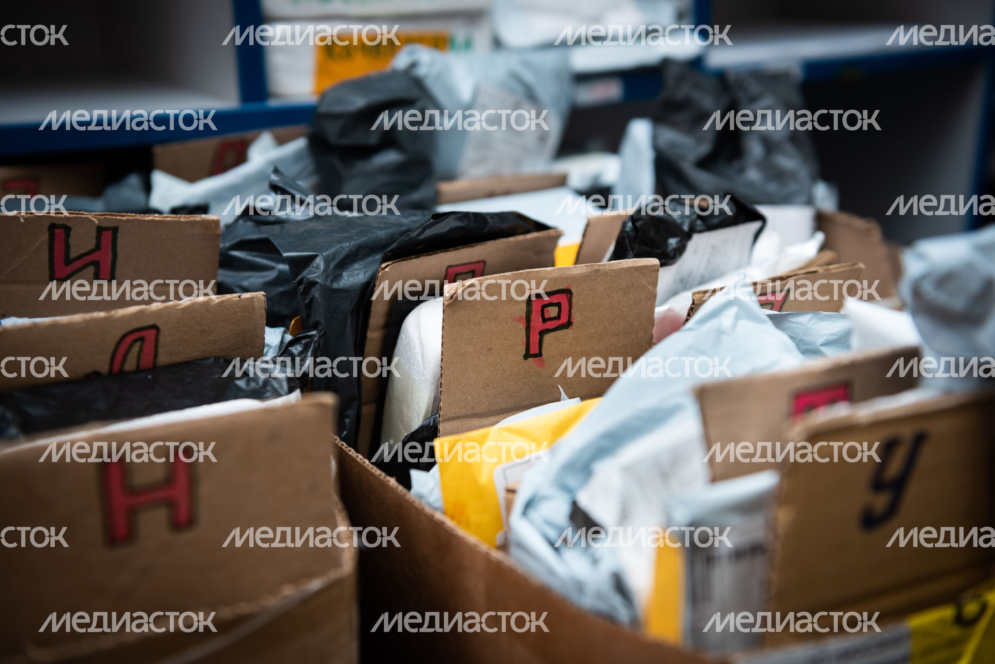 Интервью с лучшим почтальоном Подмосковья