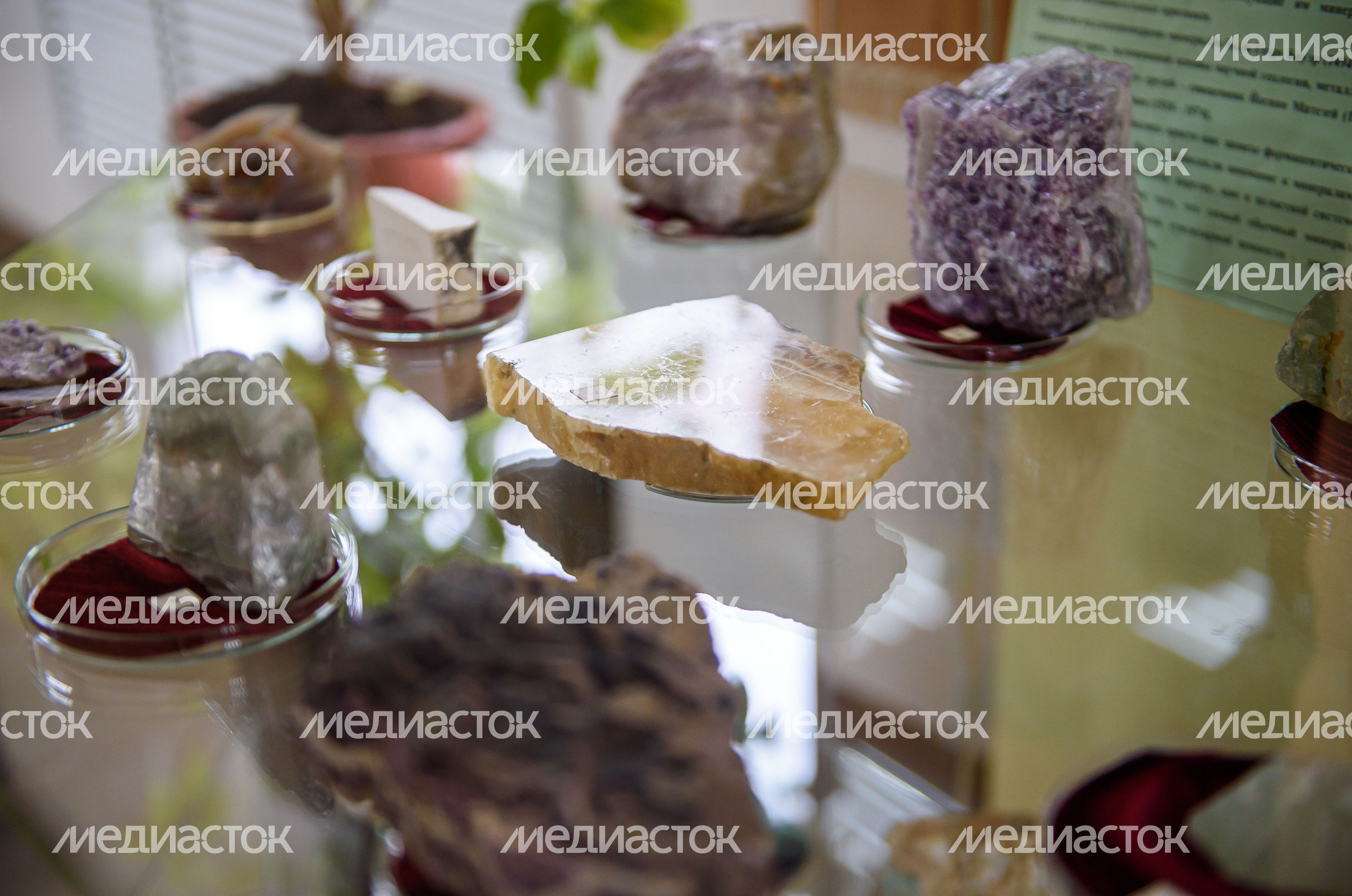 Пущинский музей экологии и краеведения