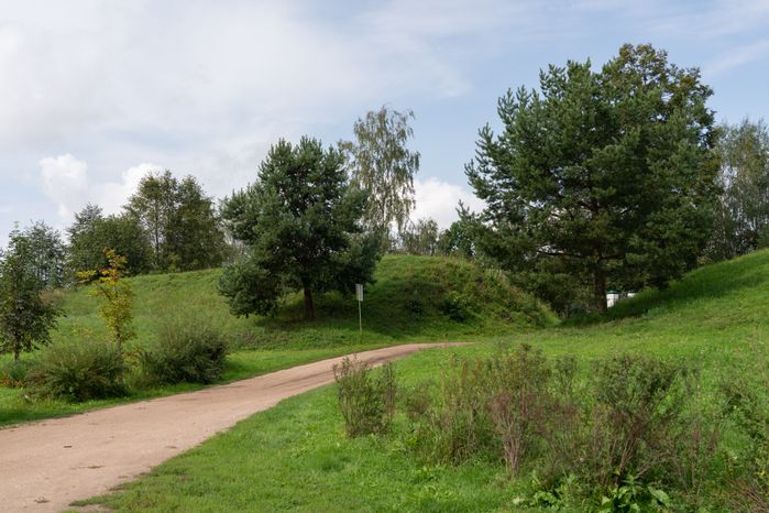 Лотошино. Микулино городище