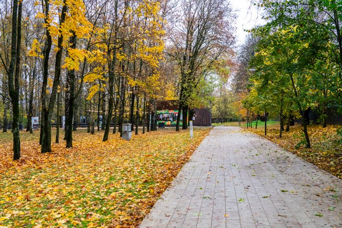 Городской парк культуры и отдыха Солнечногорска осенью