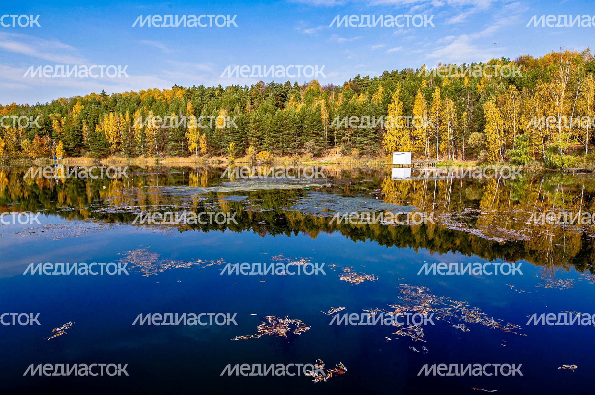 Осенние виды Волкушинского карьера