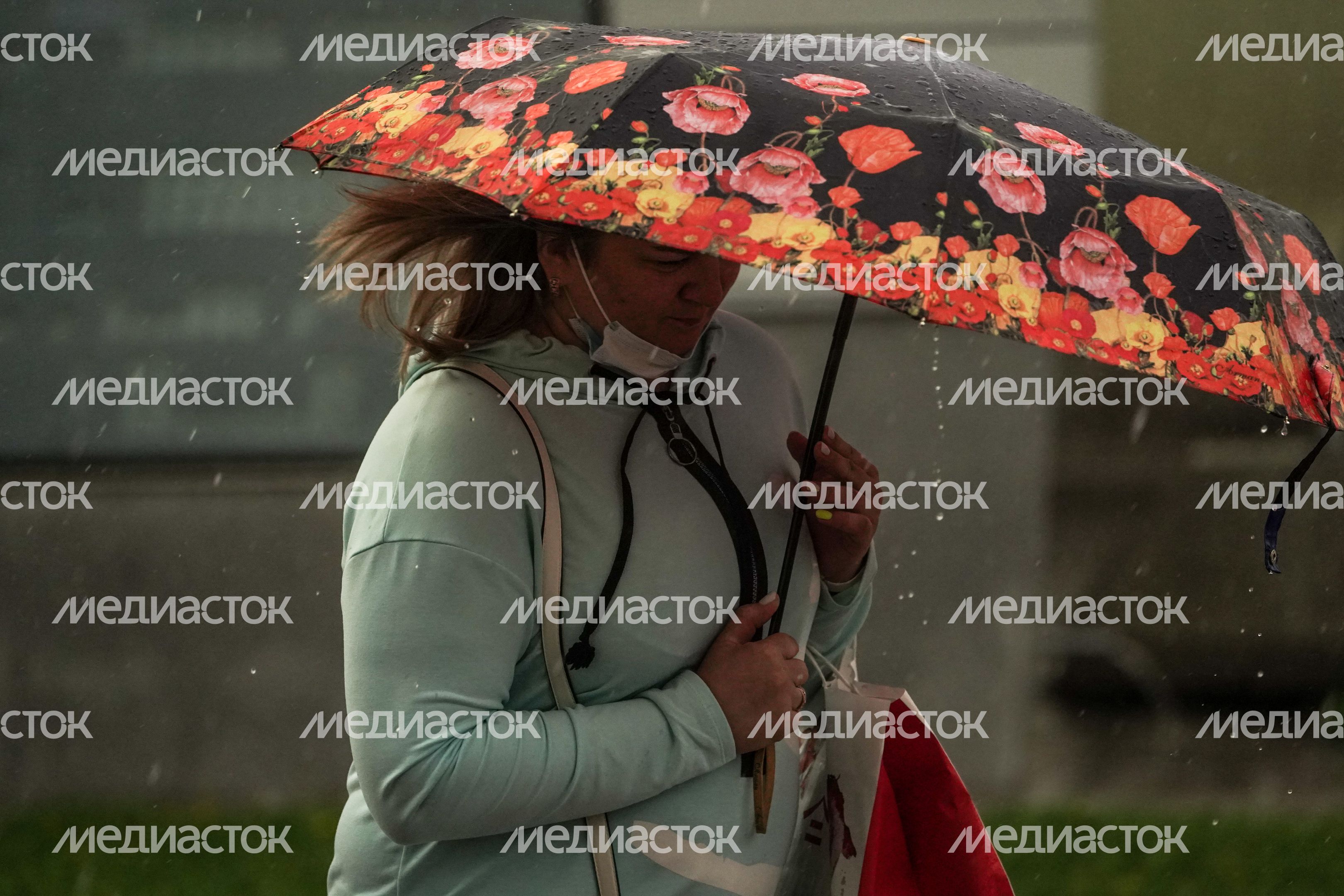 Дождливая погода в Москве Дождливая погода в Москве