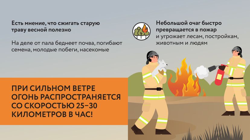 Пал травы