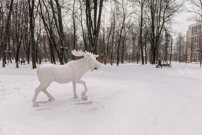 Зимний Щелковский городской парк культуры и отдыха