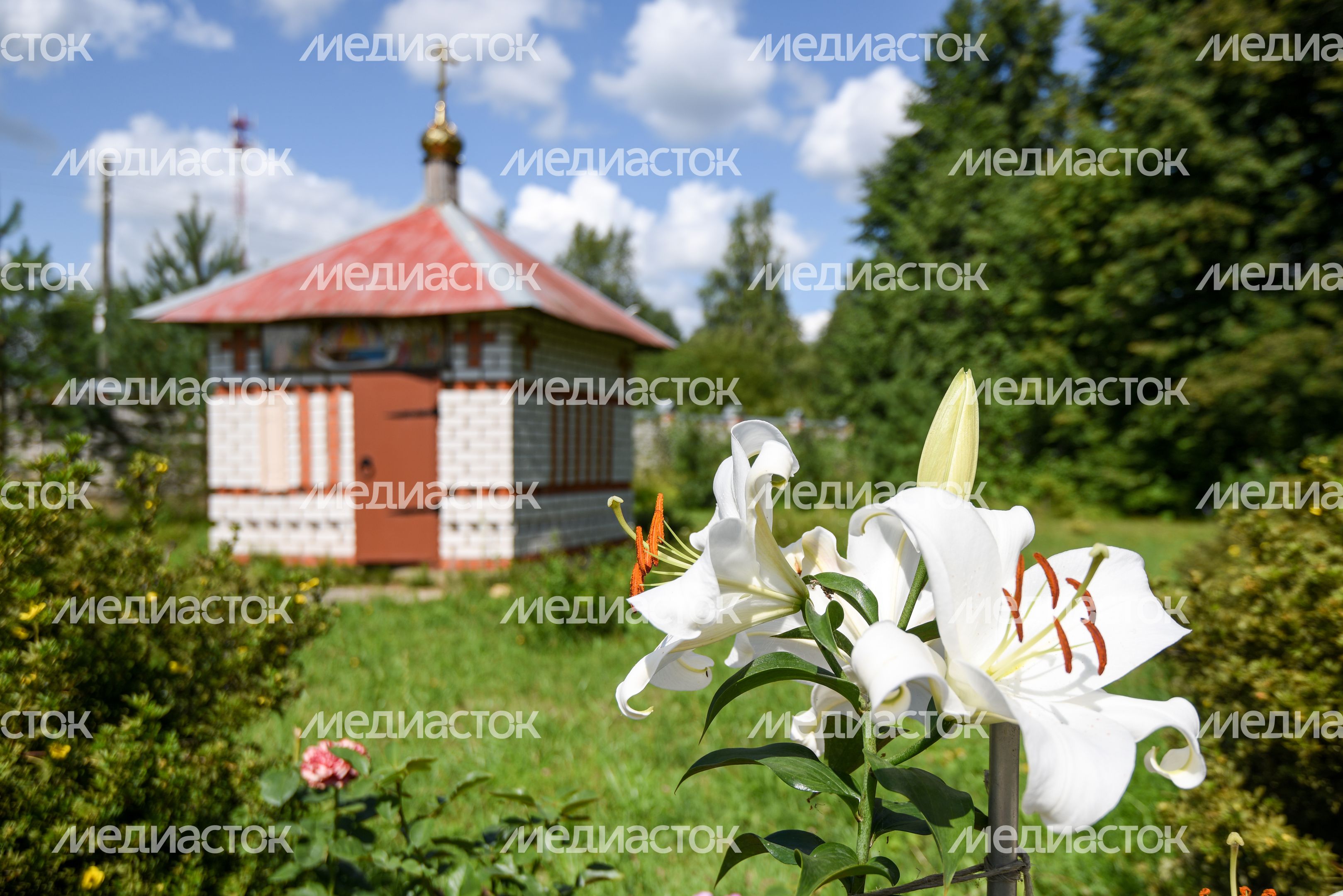 Александро-Невский монастырь в деревне Маклаково Александро-Невский монастырь в деревне Маклаково
