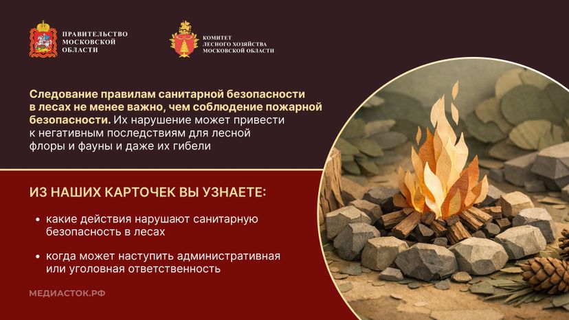 Санитарная безопасность в лесах горизонталь 02