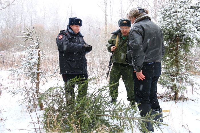 Рейд лесной охраны в Подольском лесничестве