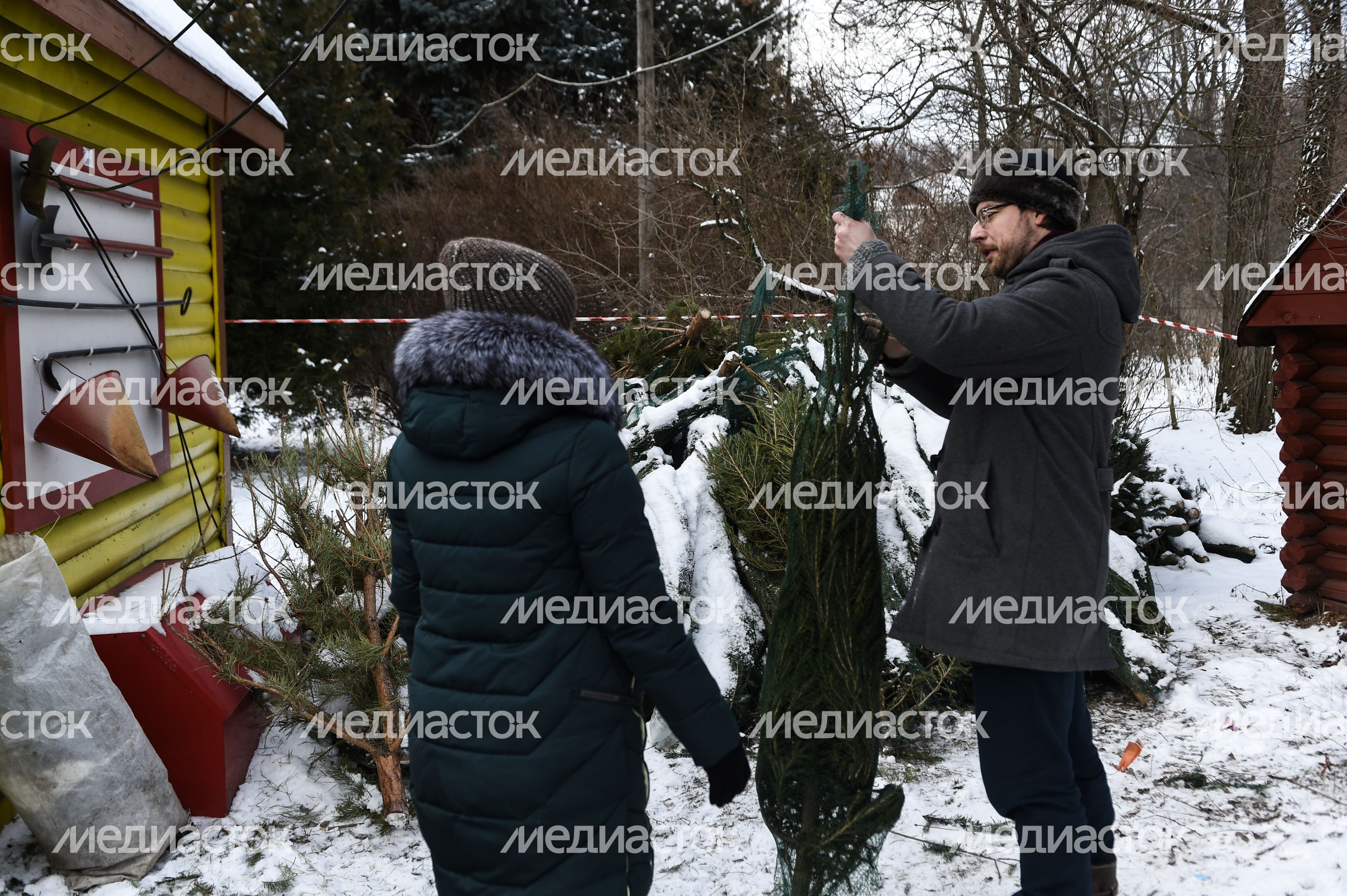 Утилизация елок после Нового года в Москве