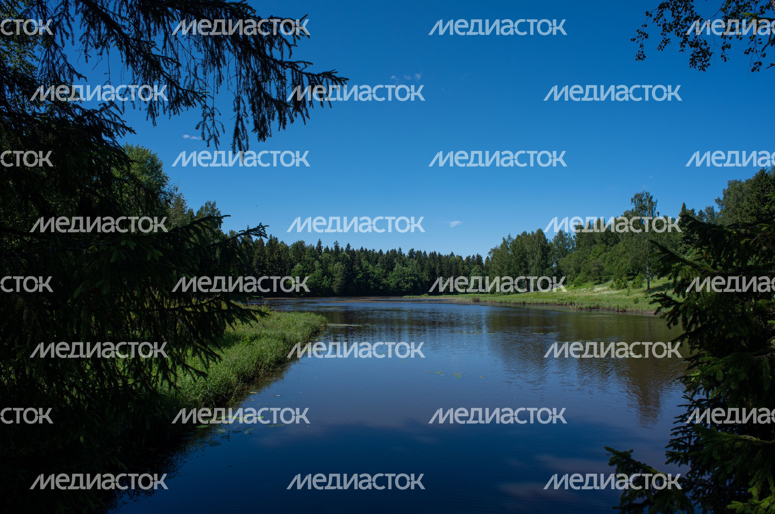Летние виды Музея-заповедника «Абрамцево»