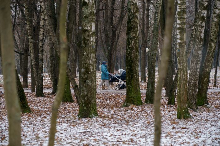 Люберцы. Наташинский парк