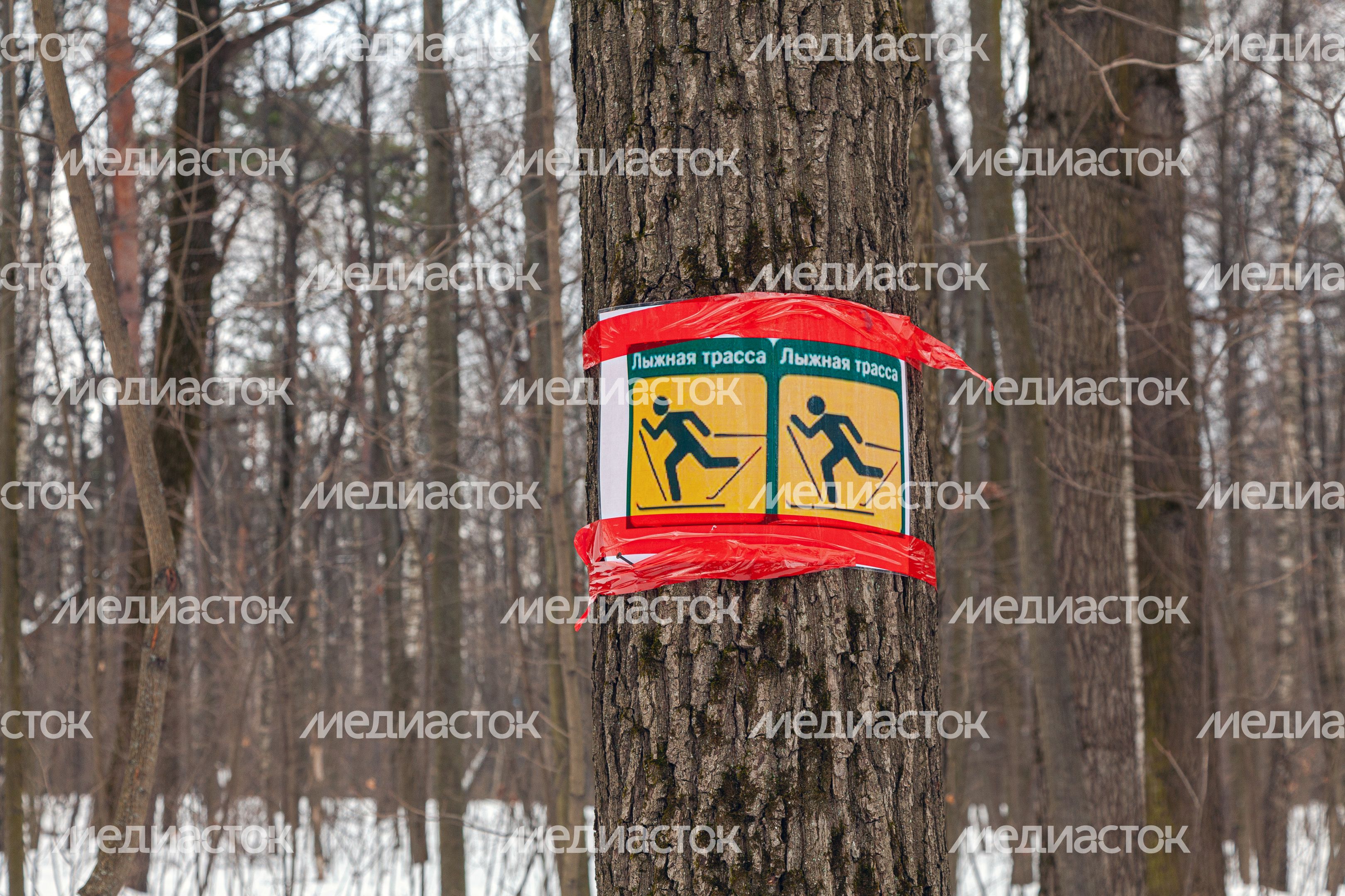 Лыжная трасса в Томилинском лесопарке зимой в городе Дзержинский округа Люберцы Лыжная трасса в Томилинском лесопарке зимой в городе Дзержинский округа Люберцы