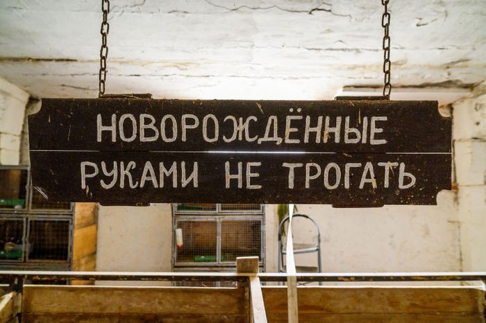 Ферма «Веселая корова» в деревне Антоново Раменского округа