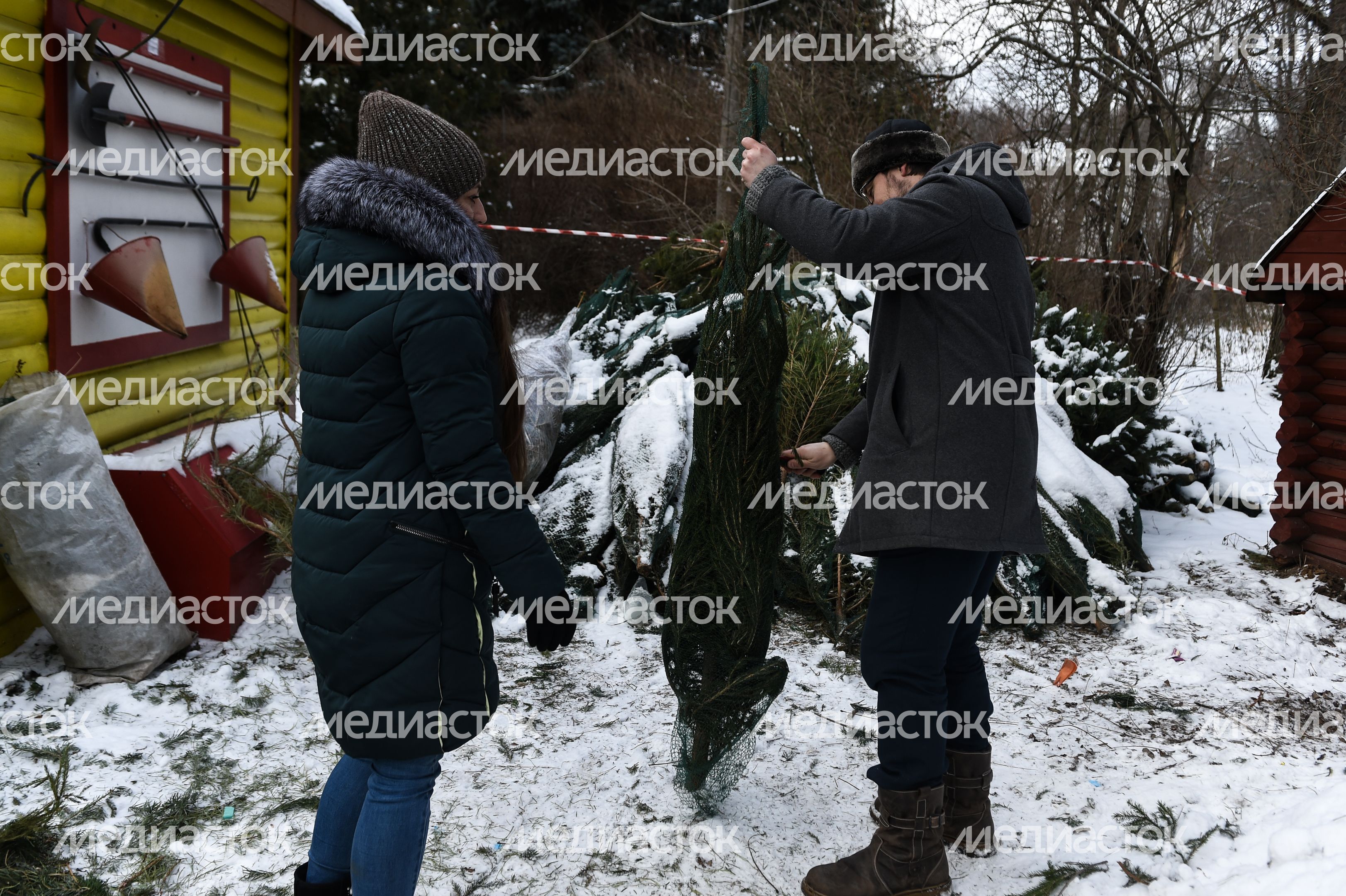 Утилизация елок после Нового года в Москве