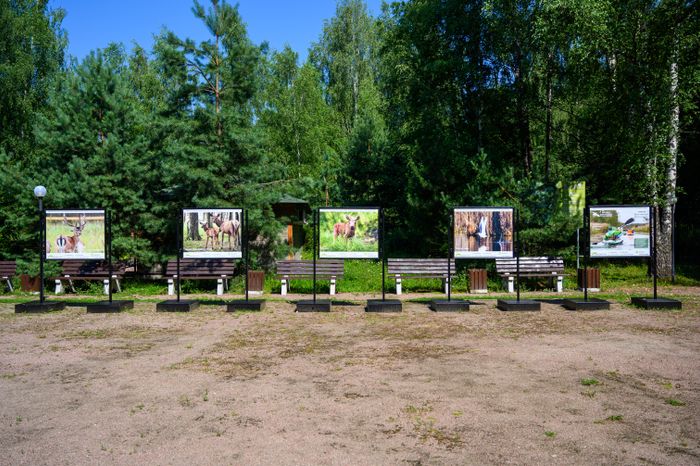 Эколого-просветительский комплекс "Дендрарий" в Мытищах
