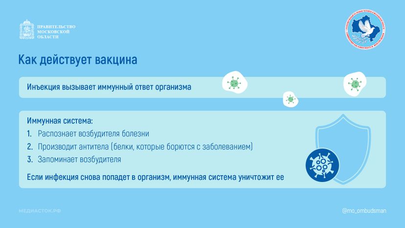 Вакцинация горизонталь 04