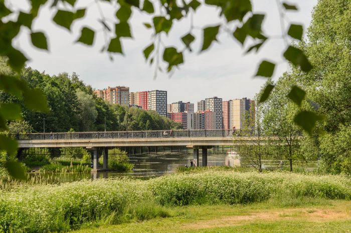 Мост Влюбленных в Балашихе